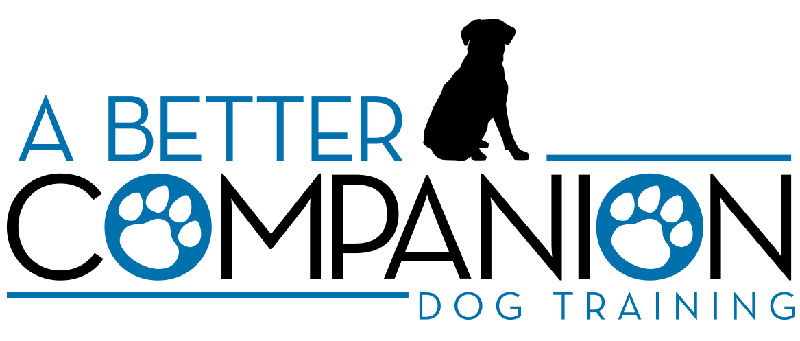 A Better Companion Dog Training